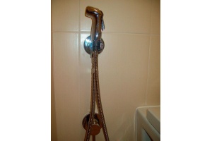 Гигиенический душ Kludi Bozz 389990576 со смесителем - 2