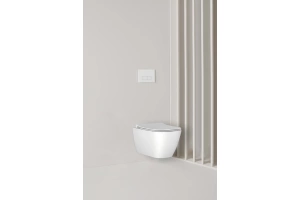 Кнопка смыва Ideal Standard Oleas белый, матовый (R0119AC) - 3