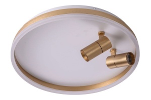 Накладной светильник Zortes Raizy ZRS.1888.02