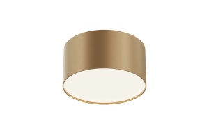 Потолочный светодиодный светильник Maytoni Technical Zon C032CL-12W4K-RD-MG