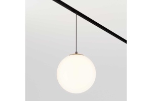 Трековый светодиодный светильник Maytoni Technical Luna TR039-2-5W3K - 2