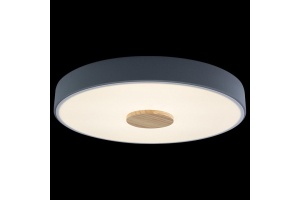 Накладной светильник Loft it Axel 2 10003/24 Grey - 3