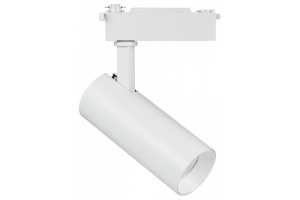 Светильник на штанге Lightstar Fuoco 218226