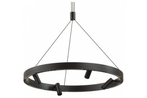 Подвесная люстра Odeon Light Beveren 6683/77L