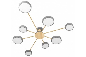 Потолочная люстра Loft it Sunrise 10316/8 Grey - 2