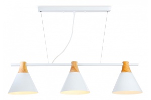 Подвесной светильник Ambrella TR TR8196