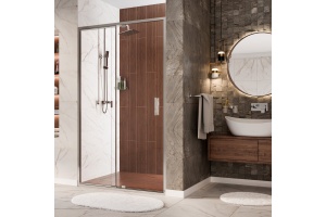 Душевая дверь в нишу Wasserkraft Berkel 48P05 120 см - 2