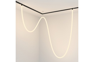 Подвесной светильник Maytoni Tau TR101-2-100W3K-B - 3