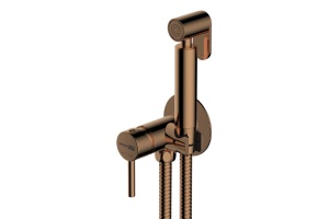 NEW A70938 Встраиваемый смеситель для душа с гигиенической лейкой