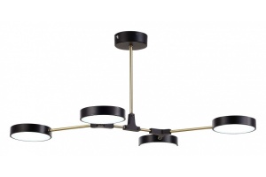 Люстра на штанге EVOLUCE Monta SLE6004-402-04 - 2