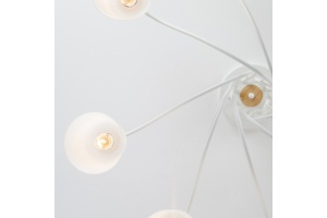 Потолочная люстра Eurosvet Betty 70062/8 белый