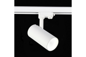 Светильник на штанге ST-Luce ST661 ST661.536.30 - 2