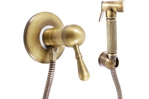 Гигиенический душ Rav Slezak Labe Mosaz L047SM со смесителем