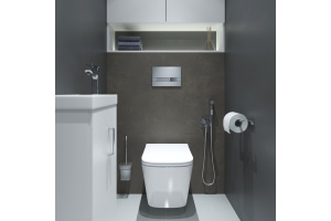 Клавиша смыва, универсальная, хром - 3