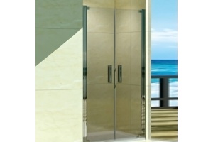 Душевая дверь в нишу Weltwasser WW600 600K2-100Х185 хром (10000002735)