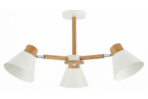 Люстра на штанге EVOLUCE Buve SLE103702-03