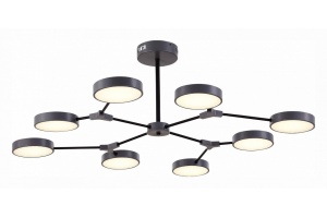 Люстра на штанге EVOLUCE Monta SLE6003-702-08 - 3