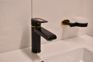 Смеситель для раковины Rav Slezak Colorado черный матовый - золото - 2