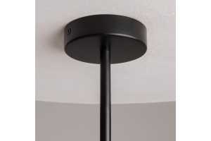 Подвесная люстра Maytoni Organic MOD225PL-06B - 3