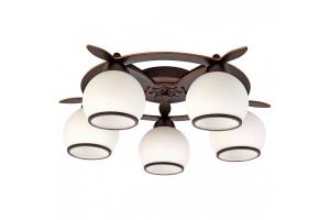 Потолочная люстра Omnilux Fronteira OML-50507-05