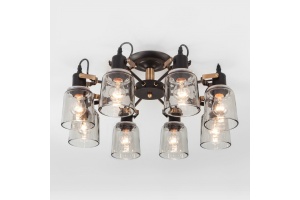 Потолочная люстра Eurosvet Astor 70111/8 черный