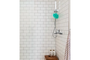 Смеситель для ванны с душем GPD Primula хром - 3