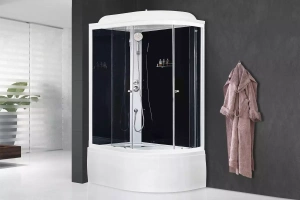 Душевая кабина Royal Bath BK 120x80 L профиль белый стекло прозрачное задняя стенка черная  - 2