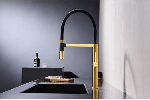 Смеситель для кухни Paulmark Leader брашированное золото - 2