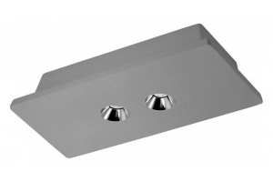 Потолочный светодиодный светильник Loft IT Architect OL1072-GH/2