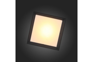 Накладной светильник ST-Luce Cubista SL077.402.01 - 2