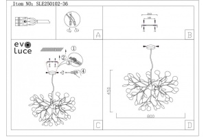 Потолочная люстра EVOLUCE Avola SLE250102-36 - 2