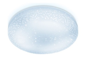 Накладной светильник Ambrella FF FF21 - 2