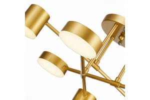 Потолочная люстра EVOLUCE Nobel SLE201022-06 - 3