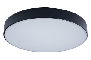 Накладной светильник Loft it Axel 1 10002/24 Black