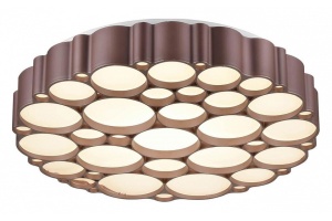 Накладной светильник Vele Luce Bible VL7156L01