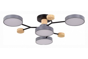 Потолочная люстра EVOLUCE Faema SLE6006-702-04