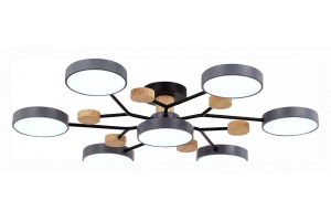 Потолочная люстра EVOLUCE Faema SLE6006-702-07 - 2