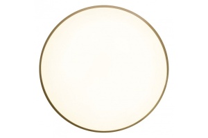 Накладной светильник Zortes Gabby ZRS.90610.50 - 2