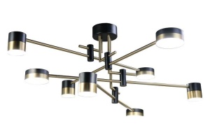 Люстра на штанге Zortes Lunar ZRS.1805.08