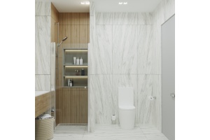 Душевая дверь в нишу DIWO Анапа 70х185, профиль хром глянец - 3