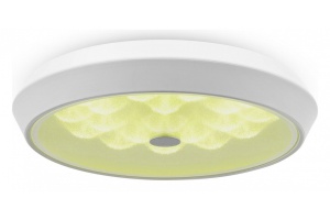 Потолочный светодиодный светильник Freya Cells FR10012CL-L24W - 3