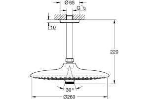 Верхний душ Grohe Euphoria SmartControl 26460000 - 2