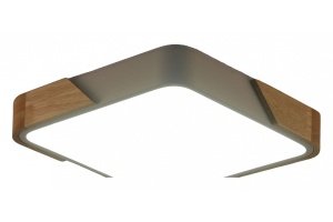 Накладной светильник Zortes ALBERRO ZRS.01285.36 - 2