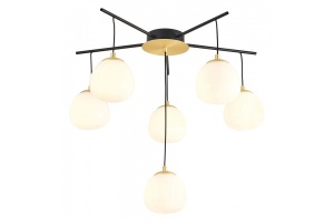 Потолочная люстра Favourite Paramount 3047-6P