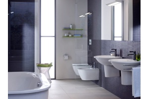 Чаша для унитаза подвесного Duravit Darling New 2545090000 - 2