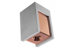 Потолочный светодиодный светильник Loft IT Architect OL1073-GG