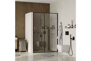 Душевая дверь в нишу Wasserkraft Dill 61S31 - 3