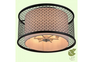 Накладной светильник Lussole Levittown GRLSP-9676 - 3