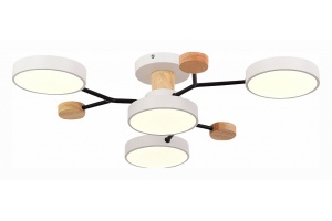 Потолочная люстра EVOLUCE Faema SLE6006-502-04 - 2