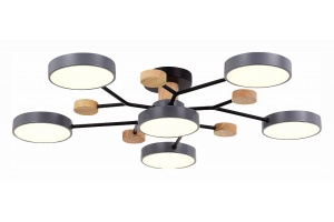 Потолочная люстра EVOLUCE Faema SLE6006-702-06 - 3